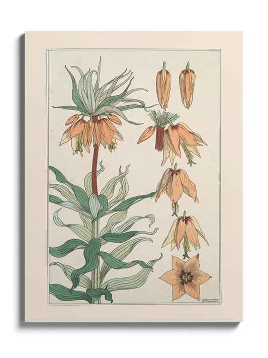 Друк Картина "Імператорська корона" Постер Квітка