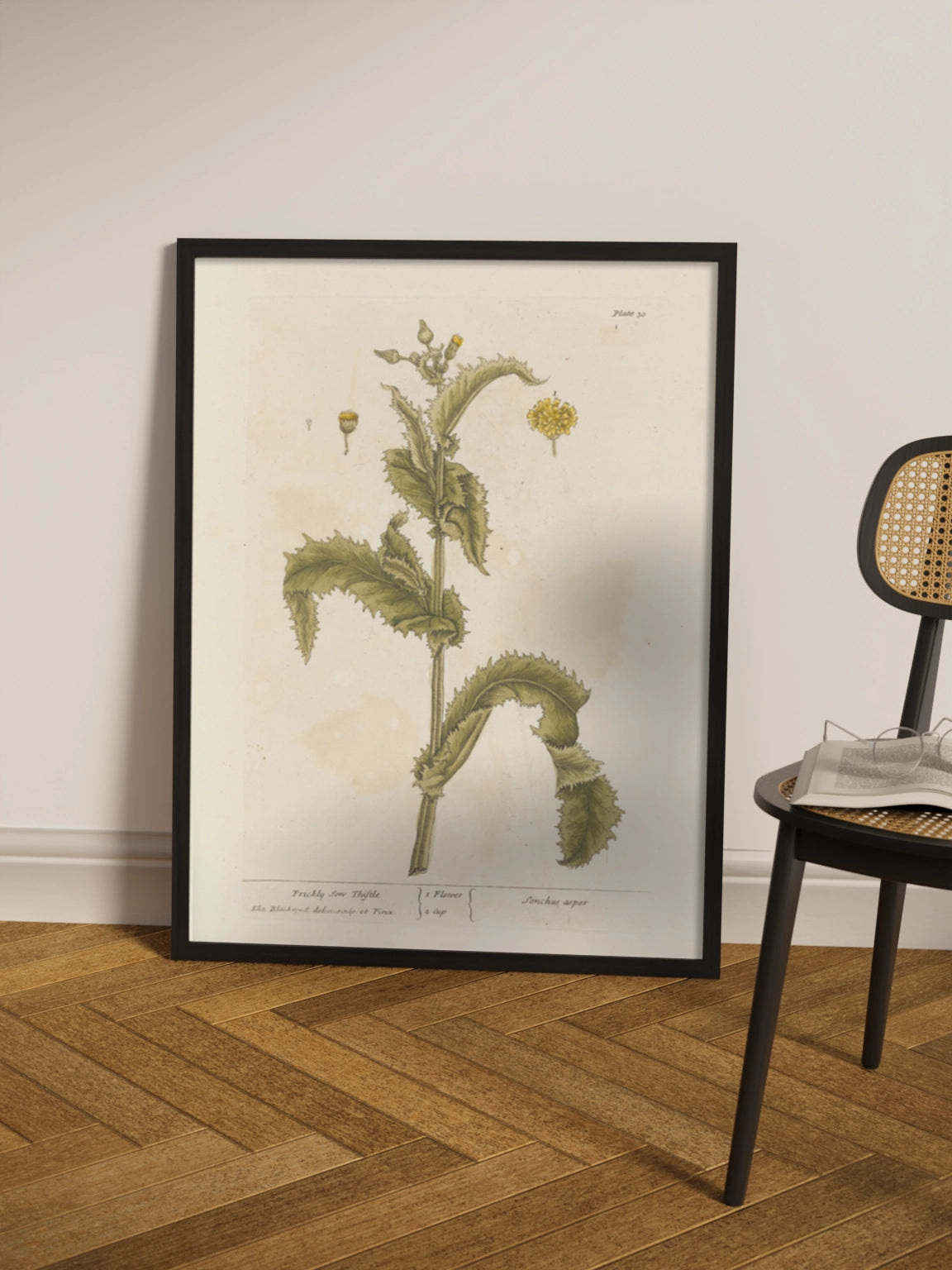 Друк Картина "Колючий осот" Постер з Квіткою