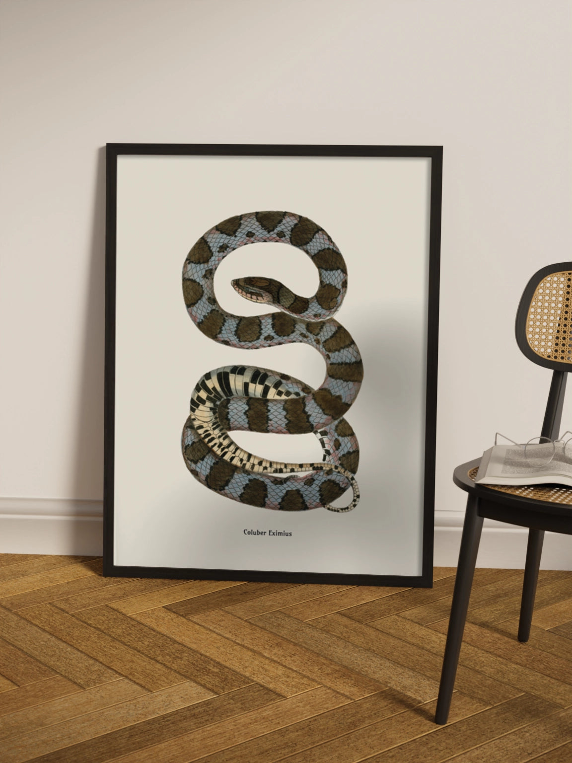 Друк Картина зі змією "Coluber eximius"