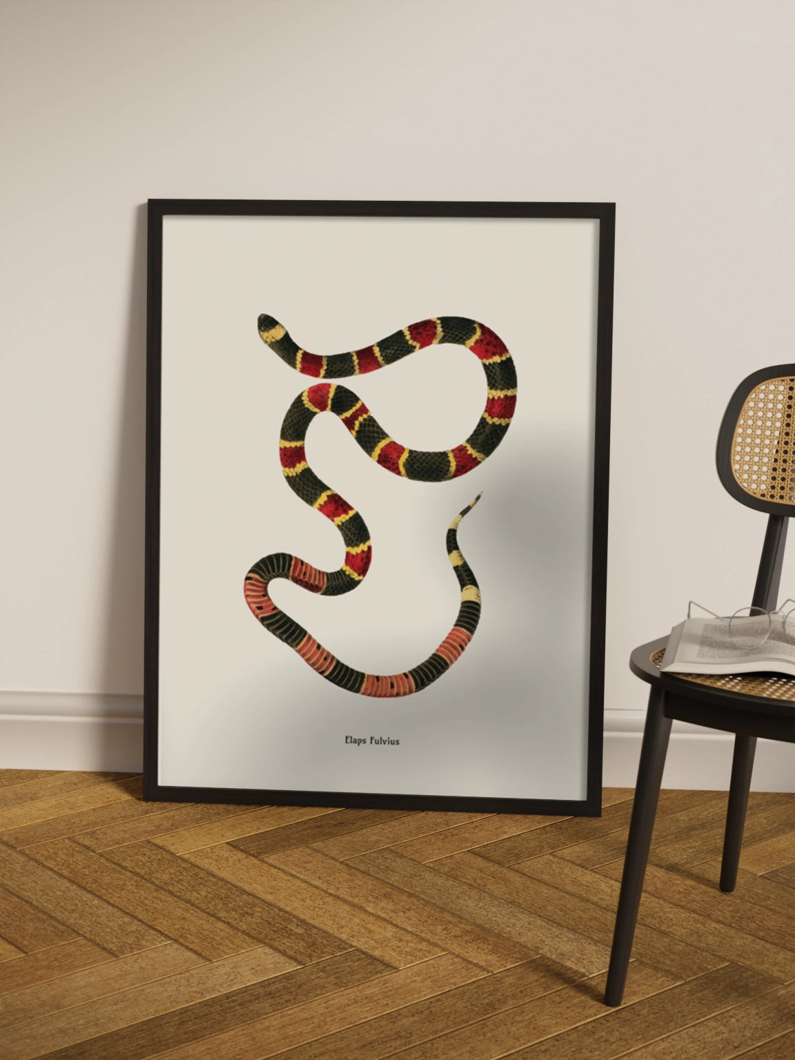 Картина зі змією "Micrurus fulvius"