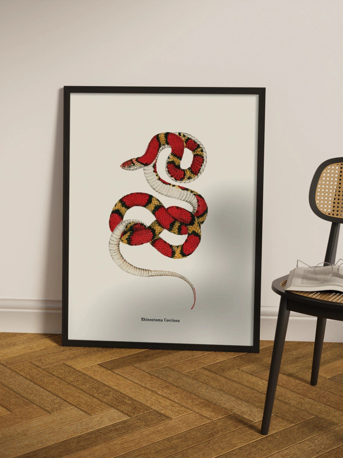 Картина зі змією "Cemophora coccinea"