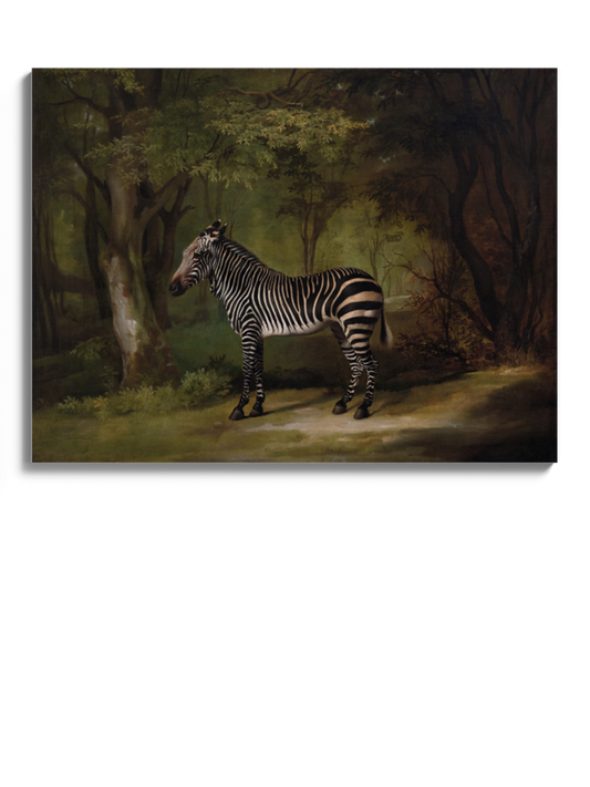 Друкована Картина "Зебра"