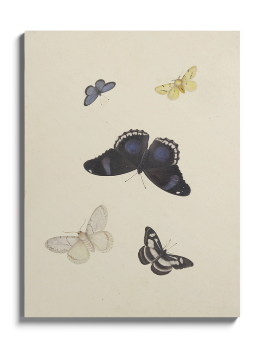 Картина "П'ять метеликів"