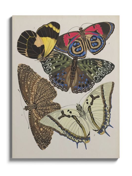 Постер з Метеликами