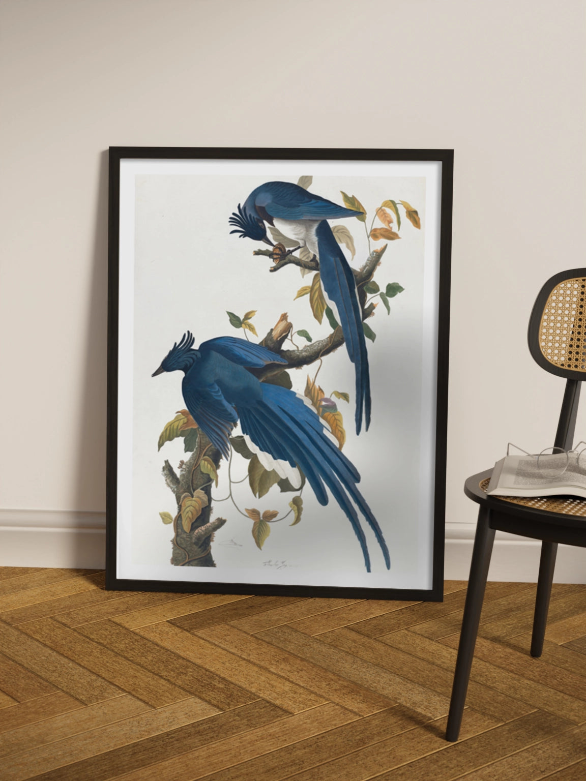 Друк Картина "Колумбійська сойка"