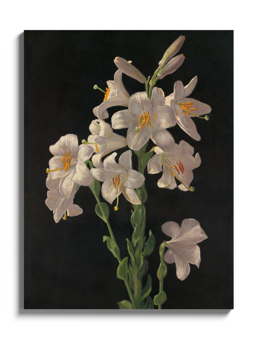 Друкована Картина "Великодня лілія"