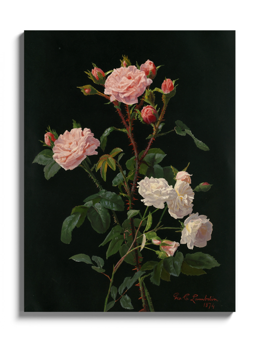 Друкована Картина "Рожеві та білі троянди"