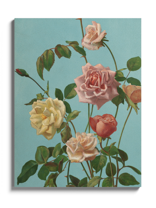 Друкована Картина "Чайні та рожеві троянди"