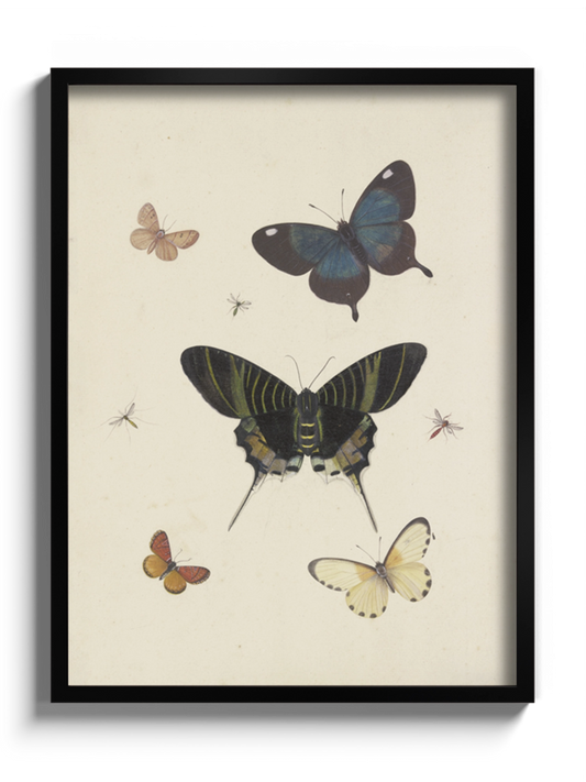 Друкована Картина "Метелики"