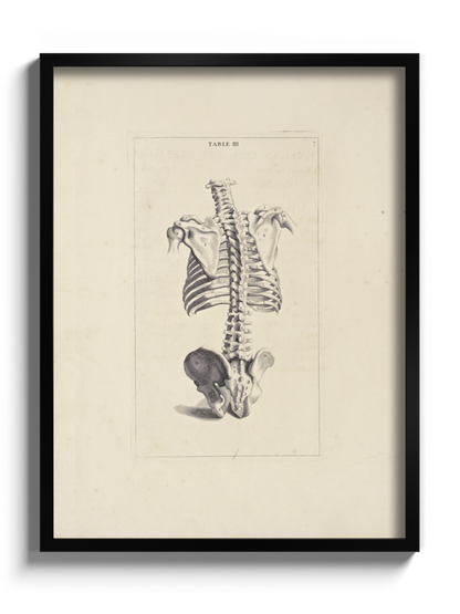 Картина "Хребет" Michael van der Gucht