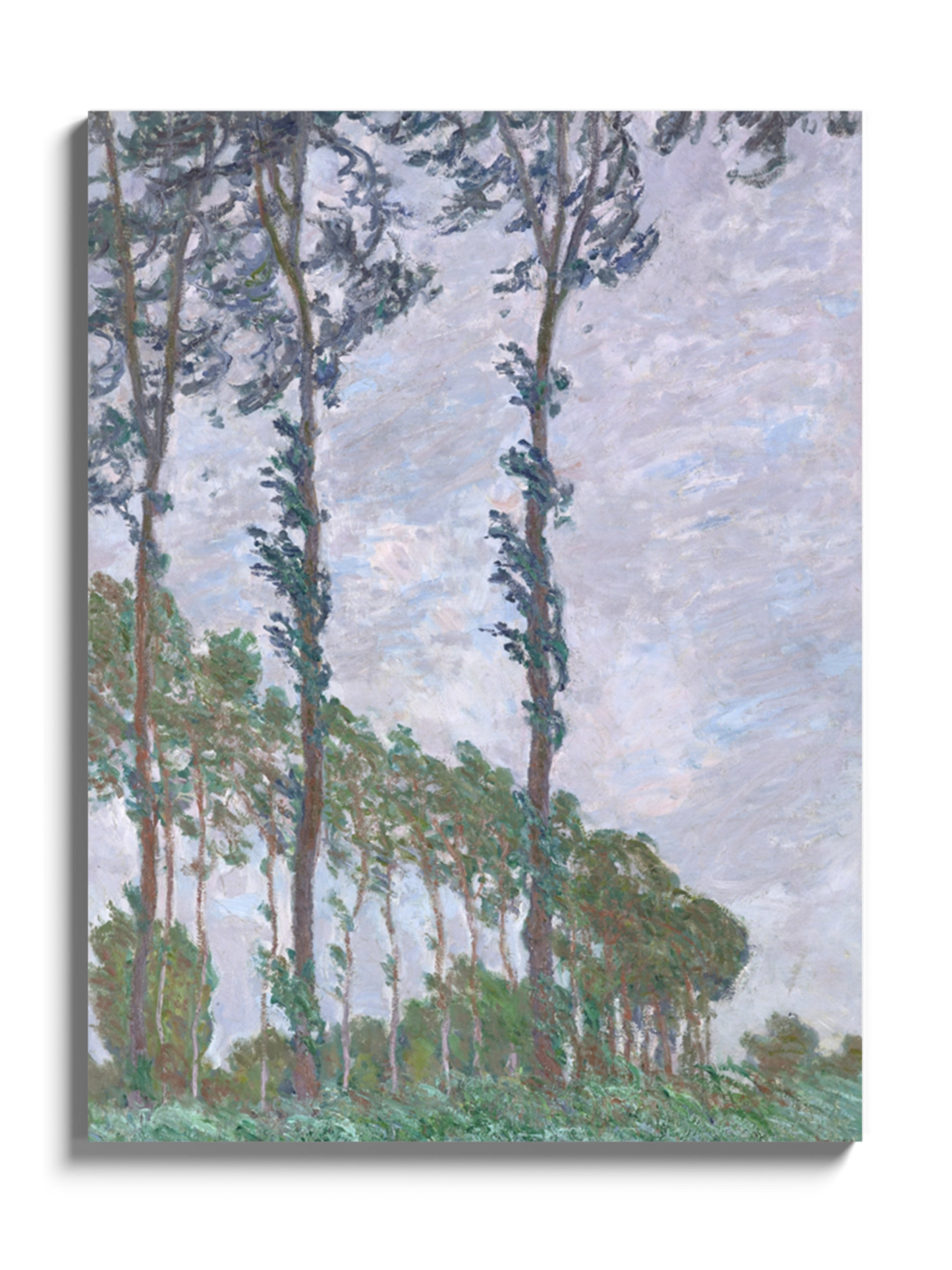 Картина «Тополі (Ефект вітру)» Клод Моне