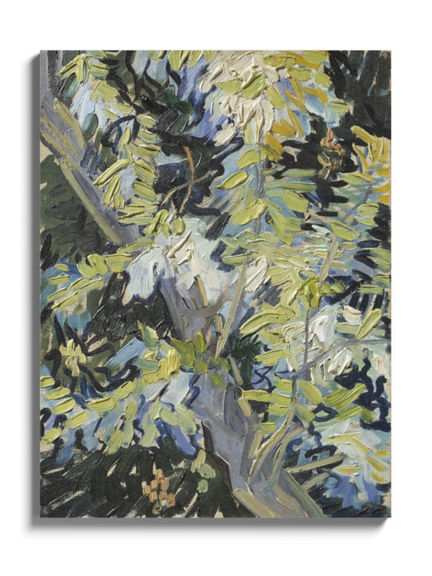 Картина «Квітучі гілки акації» Вінсент ван Гог