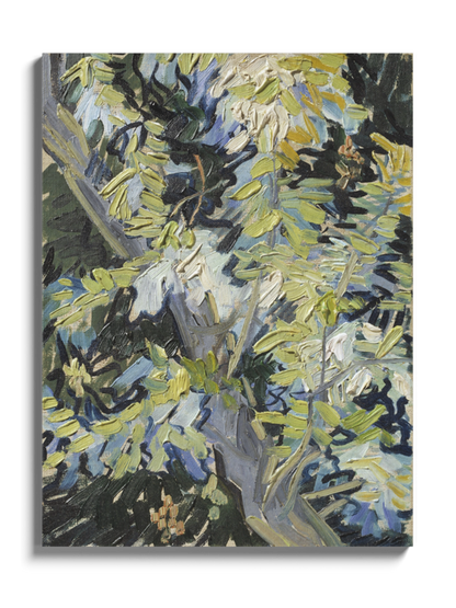 Картина «Квітучі гілки акації» Вінсент ван Гог