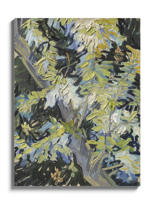 Картина «Квітучі гілки акації» Вінсент ван Гог