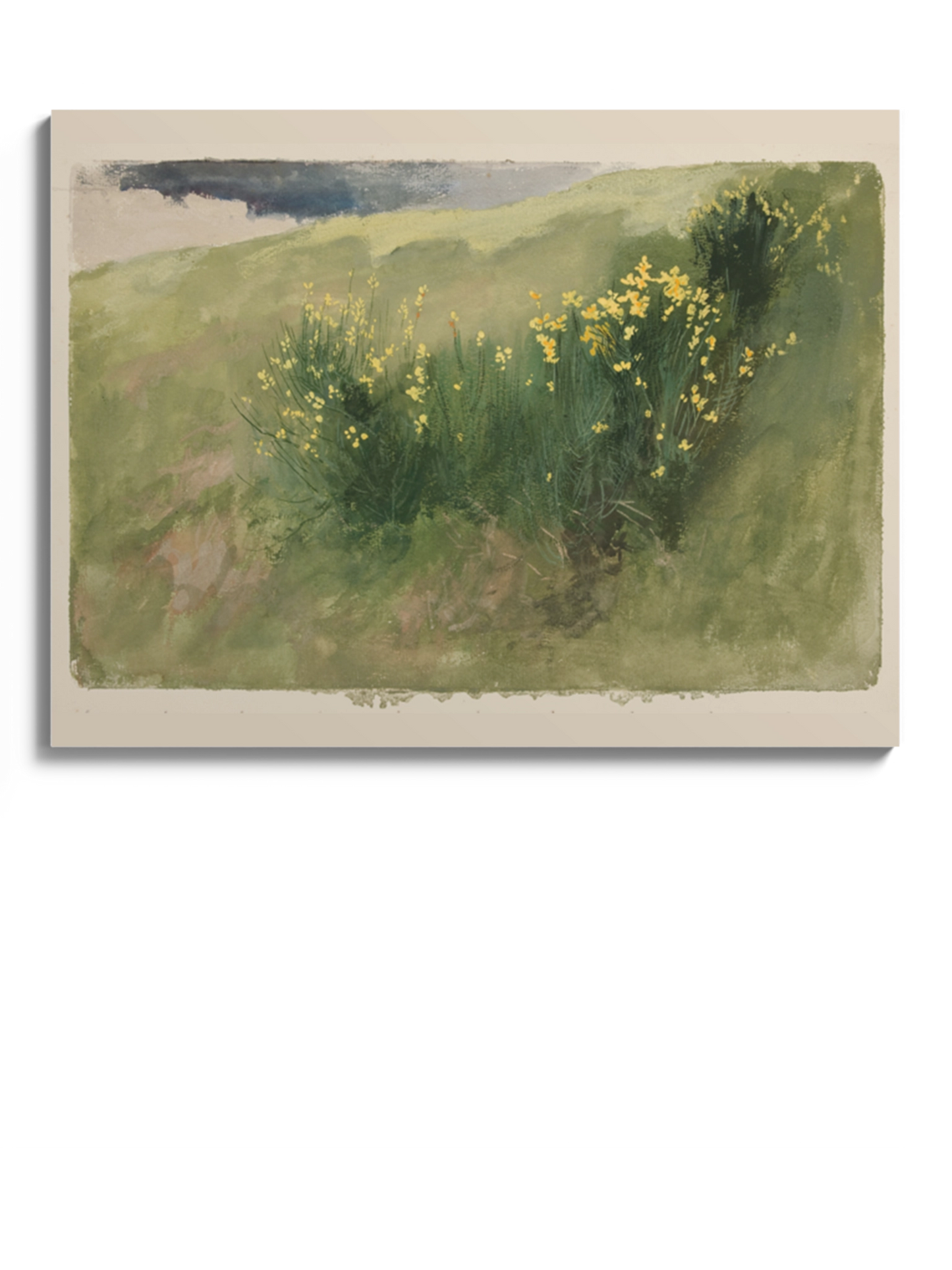 Друк Картина "Пейзаж із нарцисами"