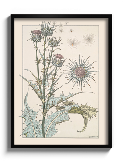 Друк Картина "Розторопша"