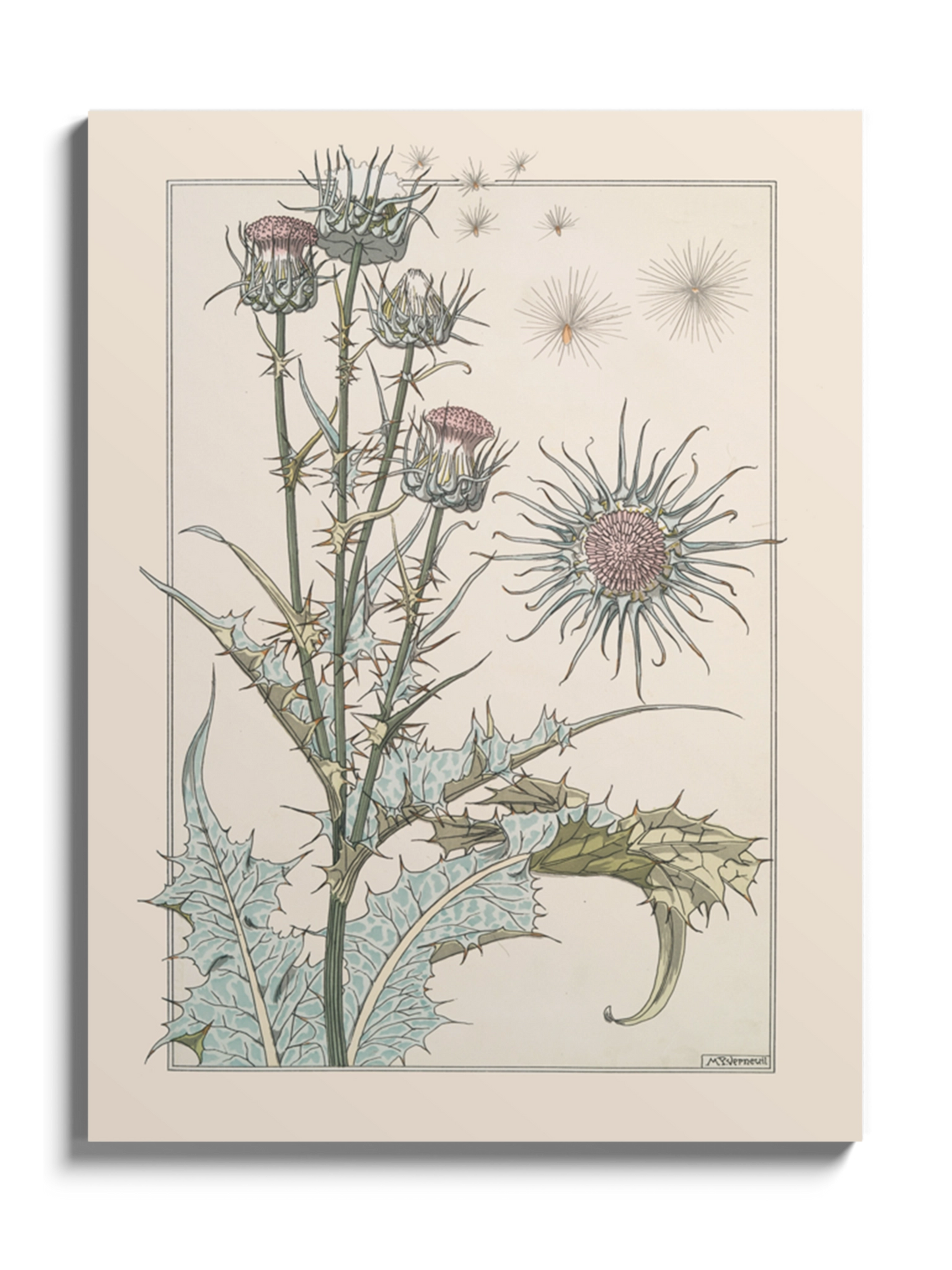 Друк Картина "Розторопша"