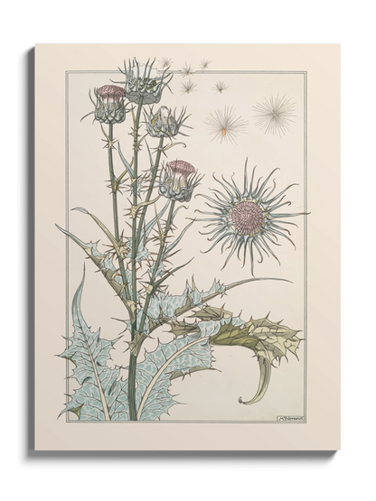 Друк Картина "Розторопша"