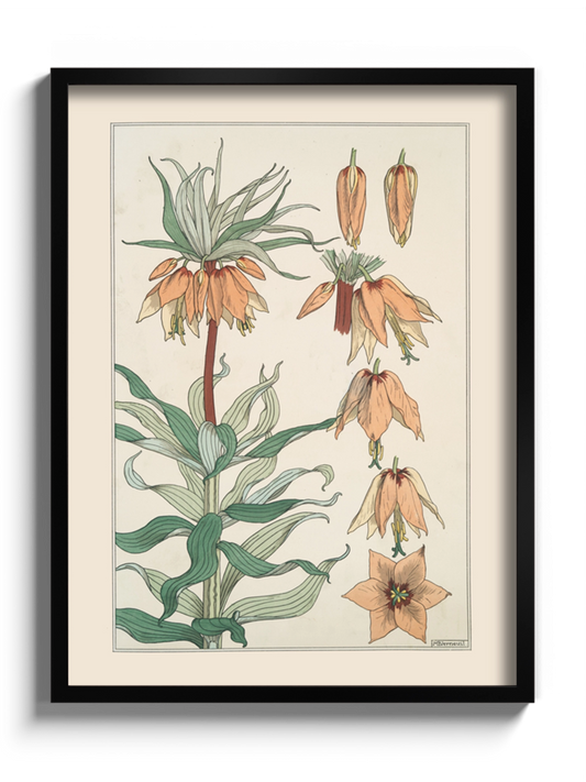 Друк Картина "Імператорська корона" Постер Квітка