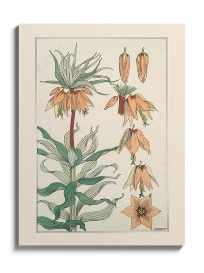 Друк Картина "Імператорська корона" Постер Квітка