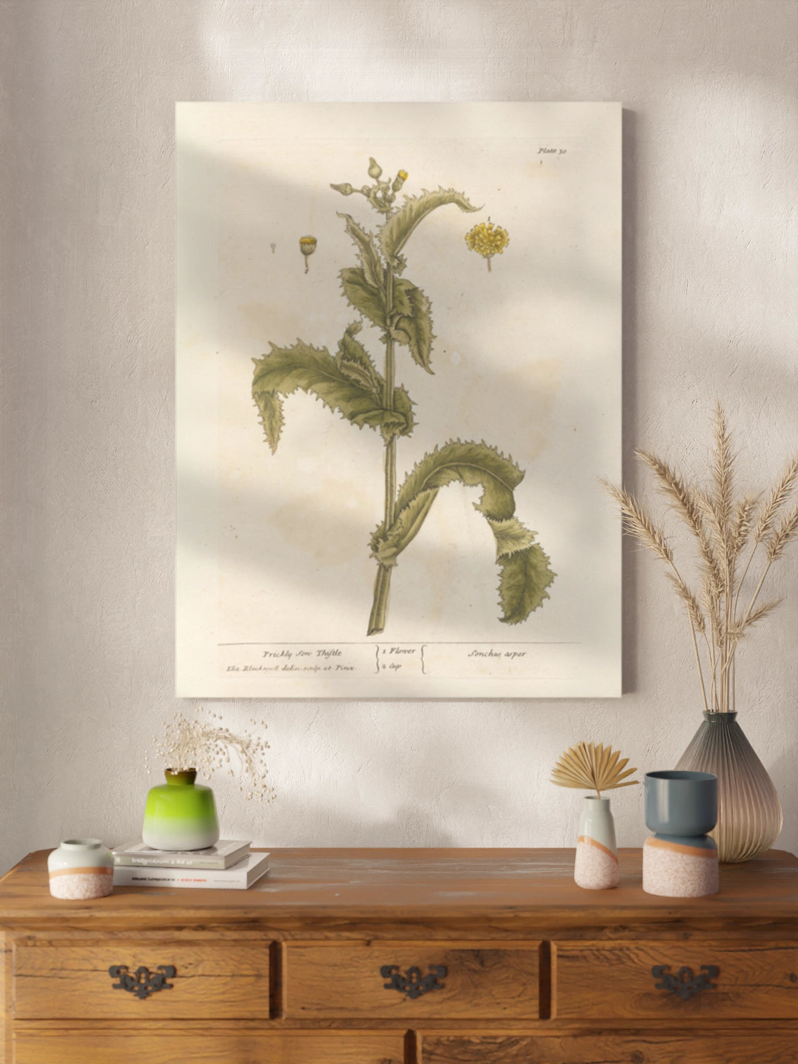 Друк Картина "Колючий осот" Постер з Квіткою