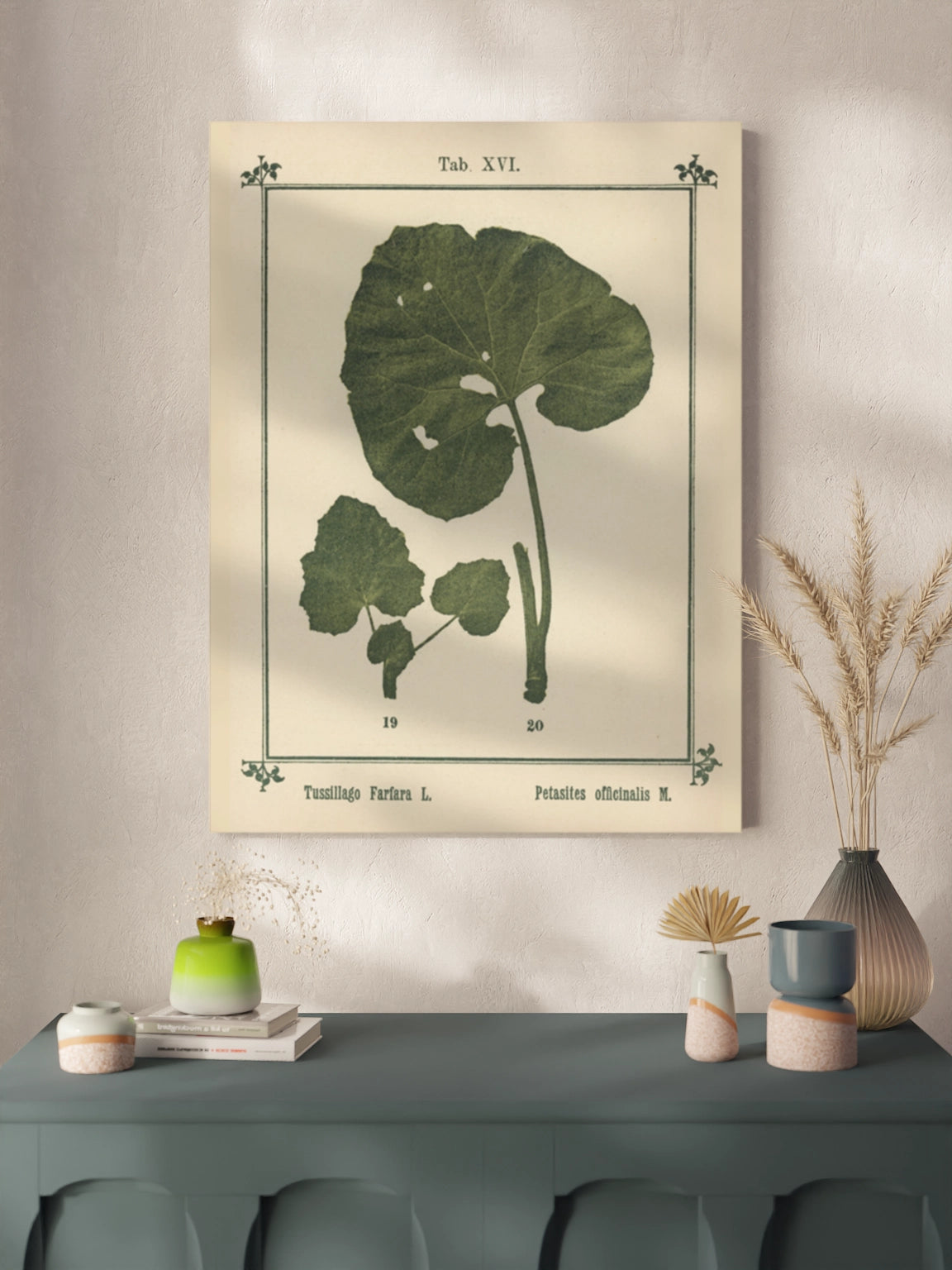 Друк Картина Атлас рослин «Моє водне лікування»