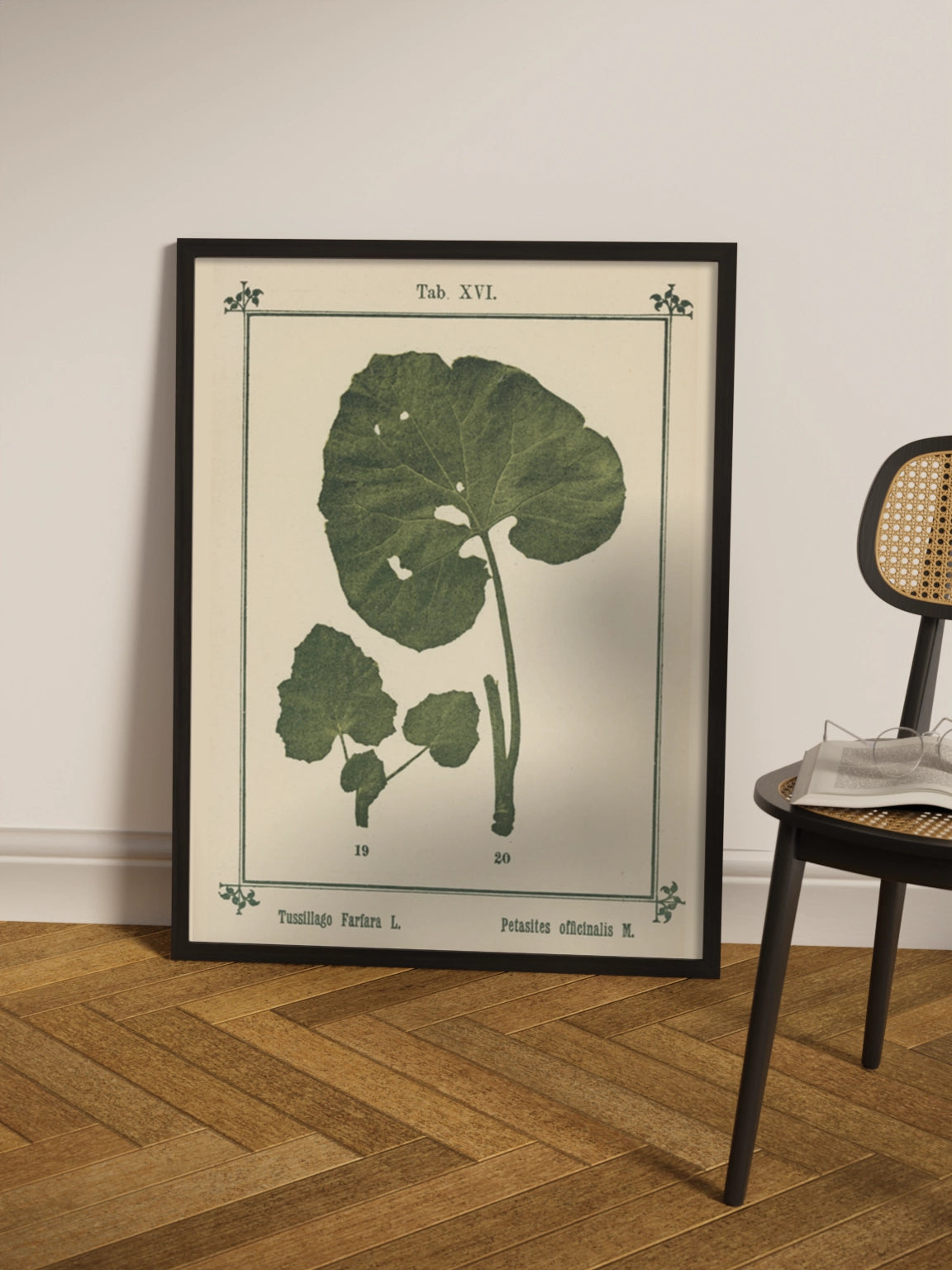 Друк Картина Атлас рослин «Моє водне лікування»