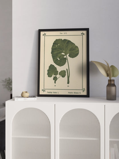 Друк Картина Атлас рослин «Моє водне лікування»