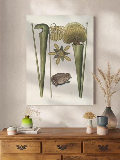 Друк Картина «Земляна жаба»