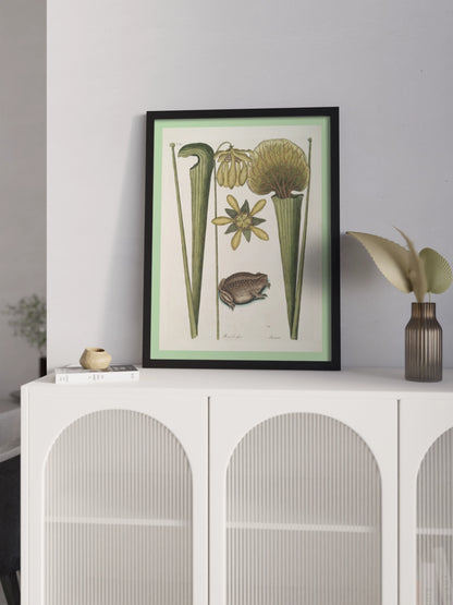 Друк Картина «Земляна жаба»