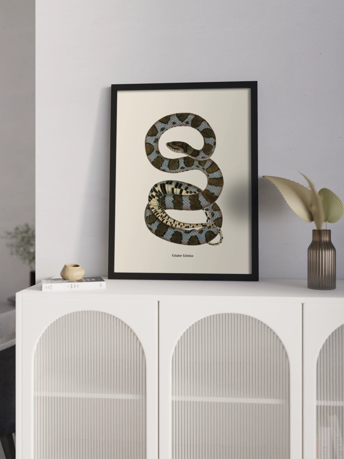 Друк Картина зі змією "Coluber eximius"