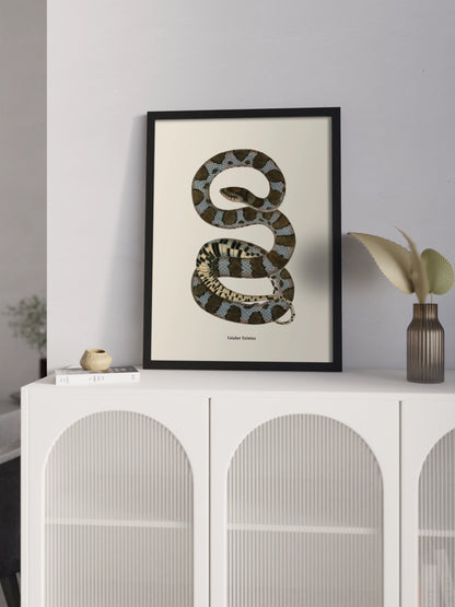 Друк Картина зі змією "Coluber eximius"
