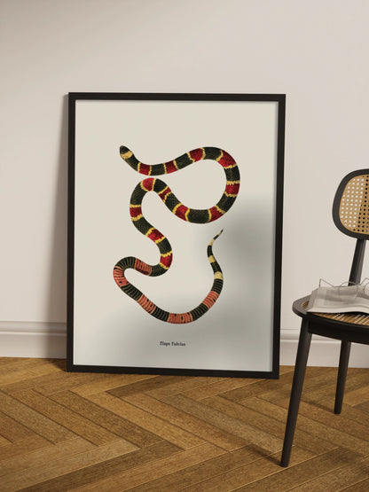 Картина зі змією "Micrurus fulvius"