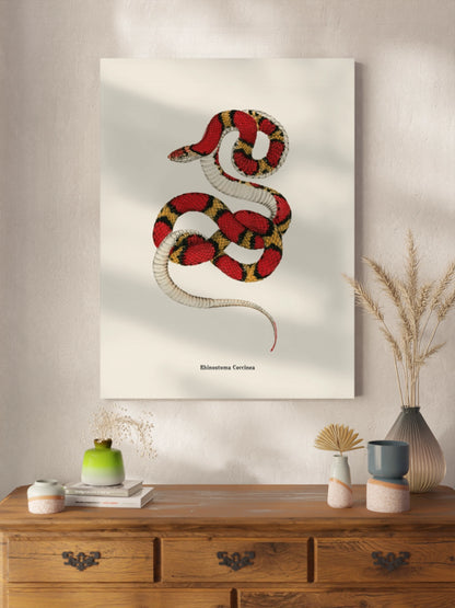 Картина зі змією "Cemophora coccinea"