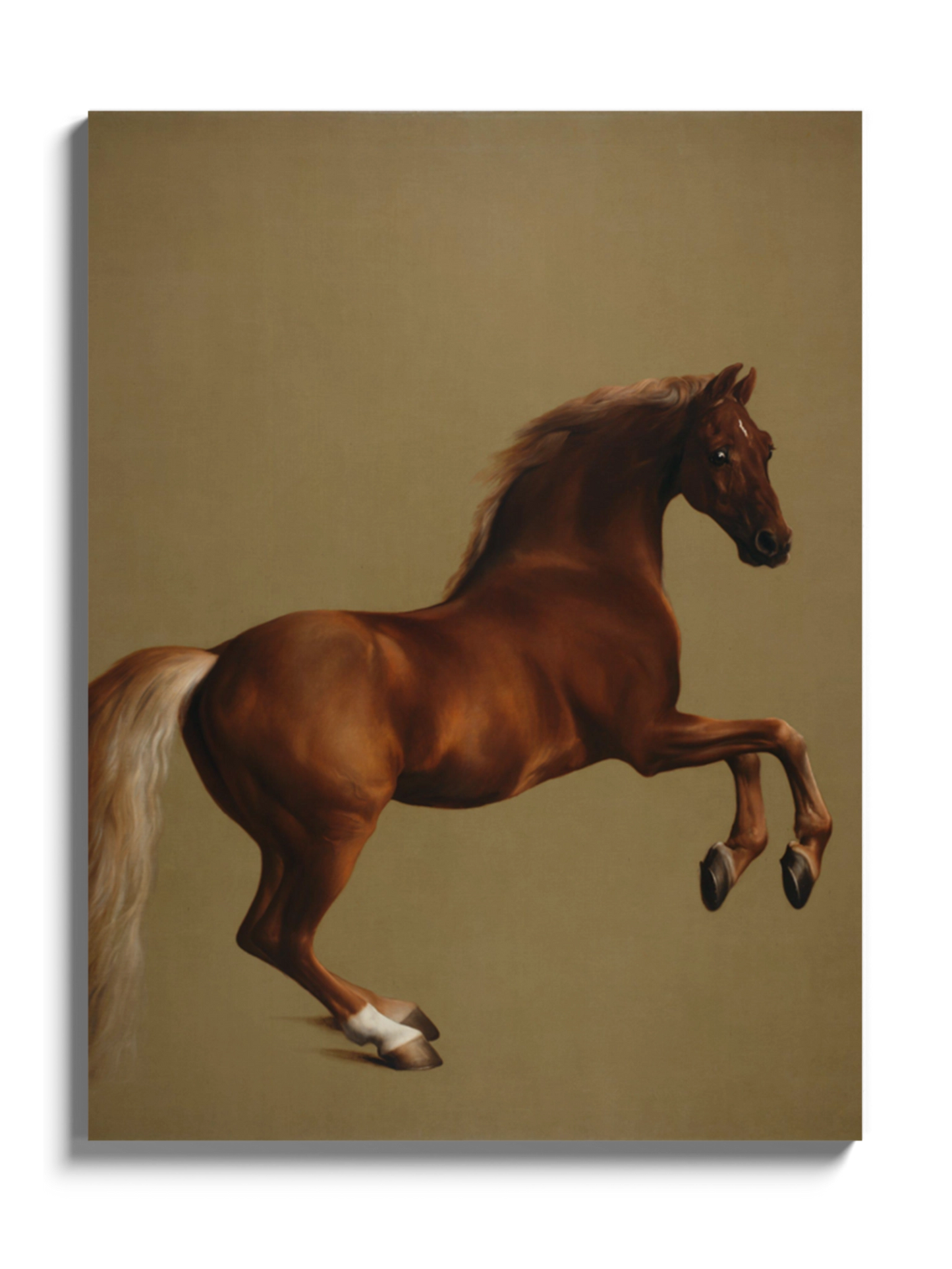 Картина з конем "Whistlejacket"