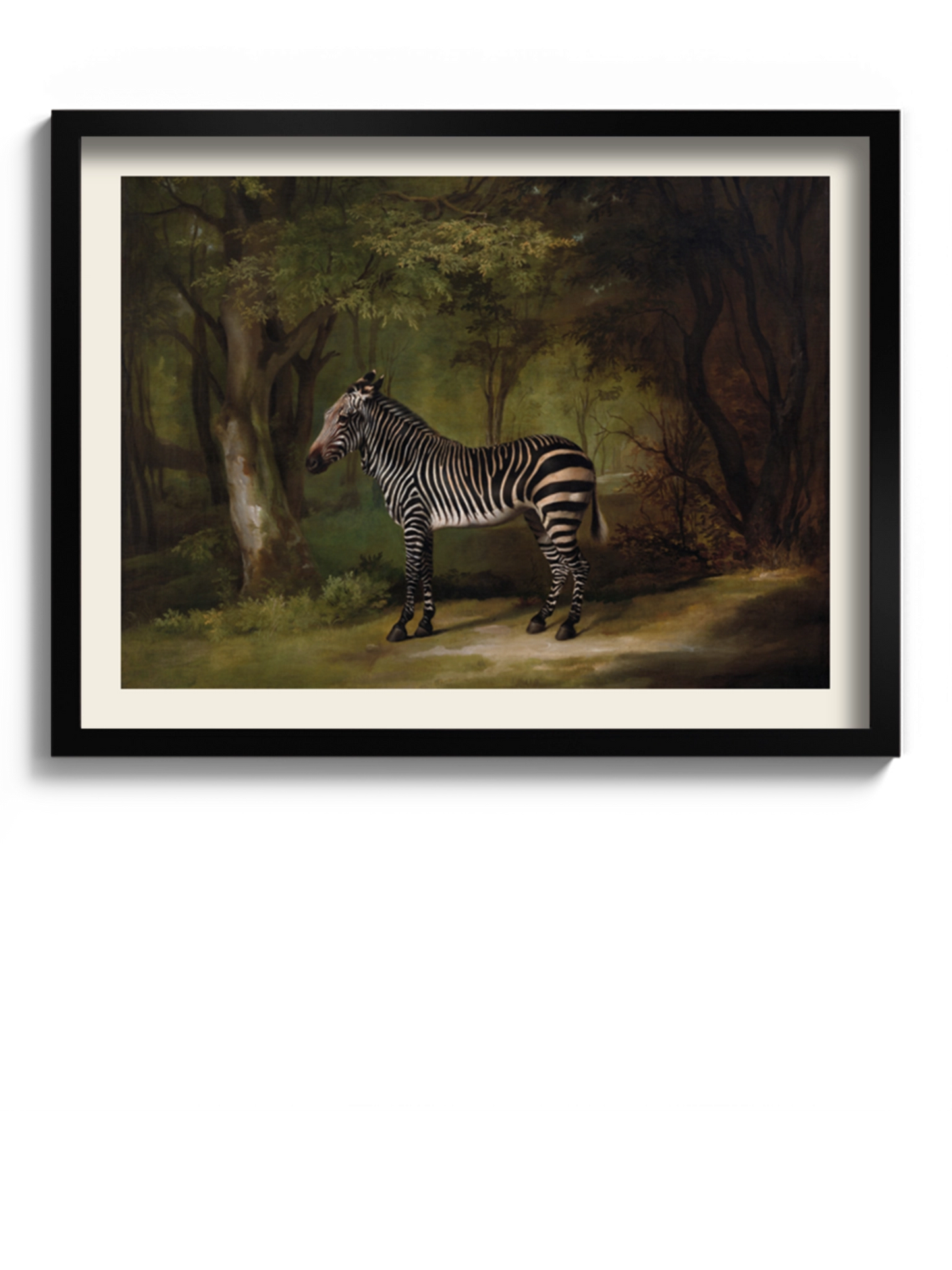 Друкована Картина "Зебра"