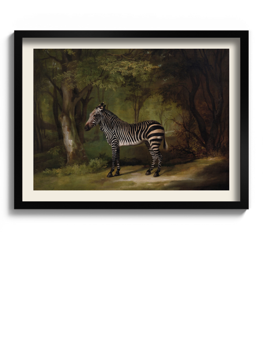 Друкована Картина "Зебра"