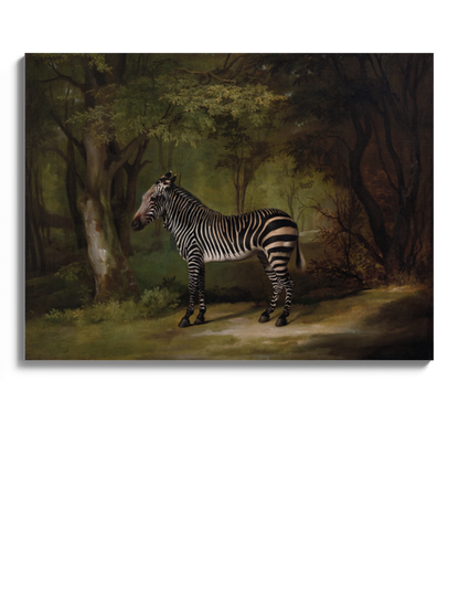 Друкована Картина "Зебра"