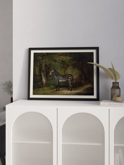 Друкована Картина "Зебра"