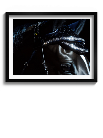 Друкована Картина "Кінь в стразах"