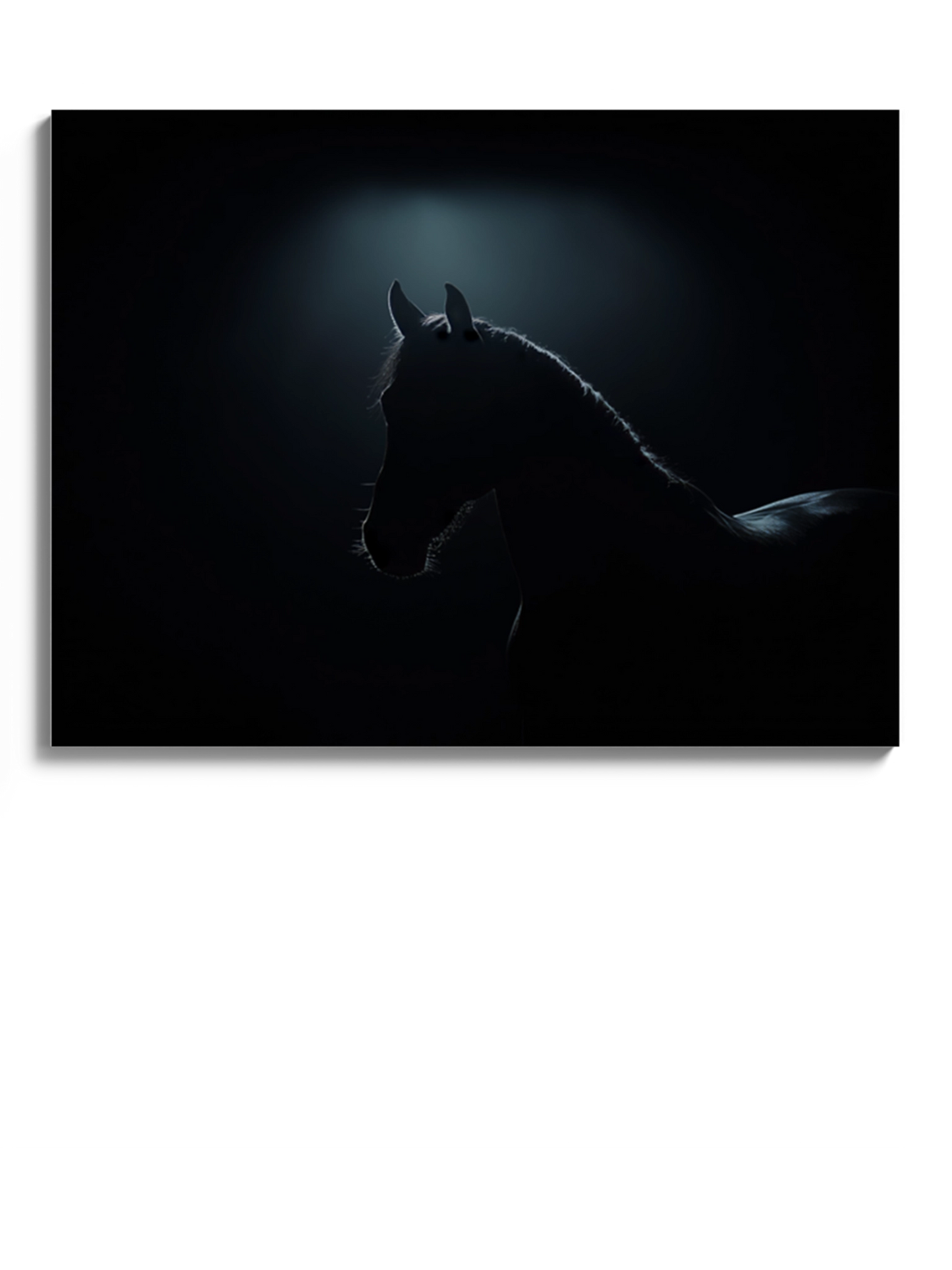 Друкована Картина "Обрис коня"