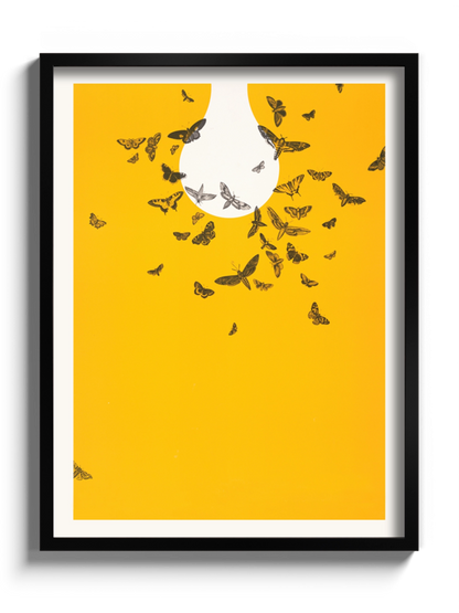Постер "Метелики летять на світло"