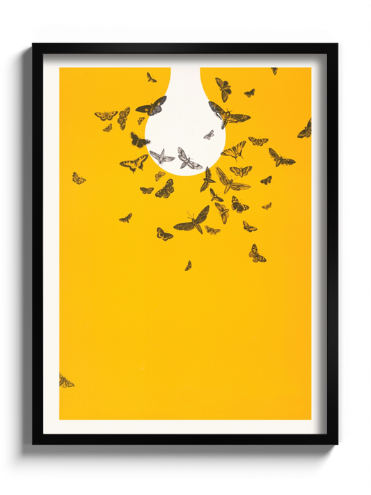 Постер "Метелики летять на світло"