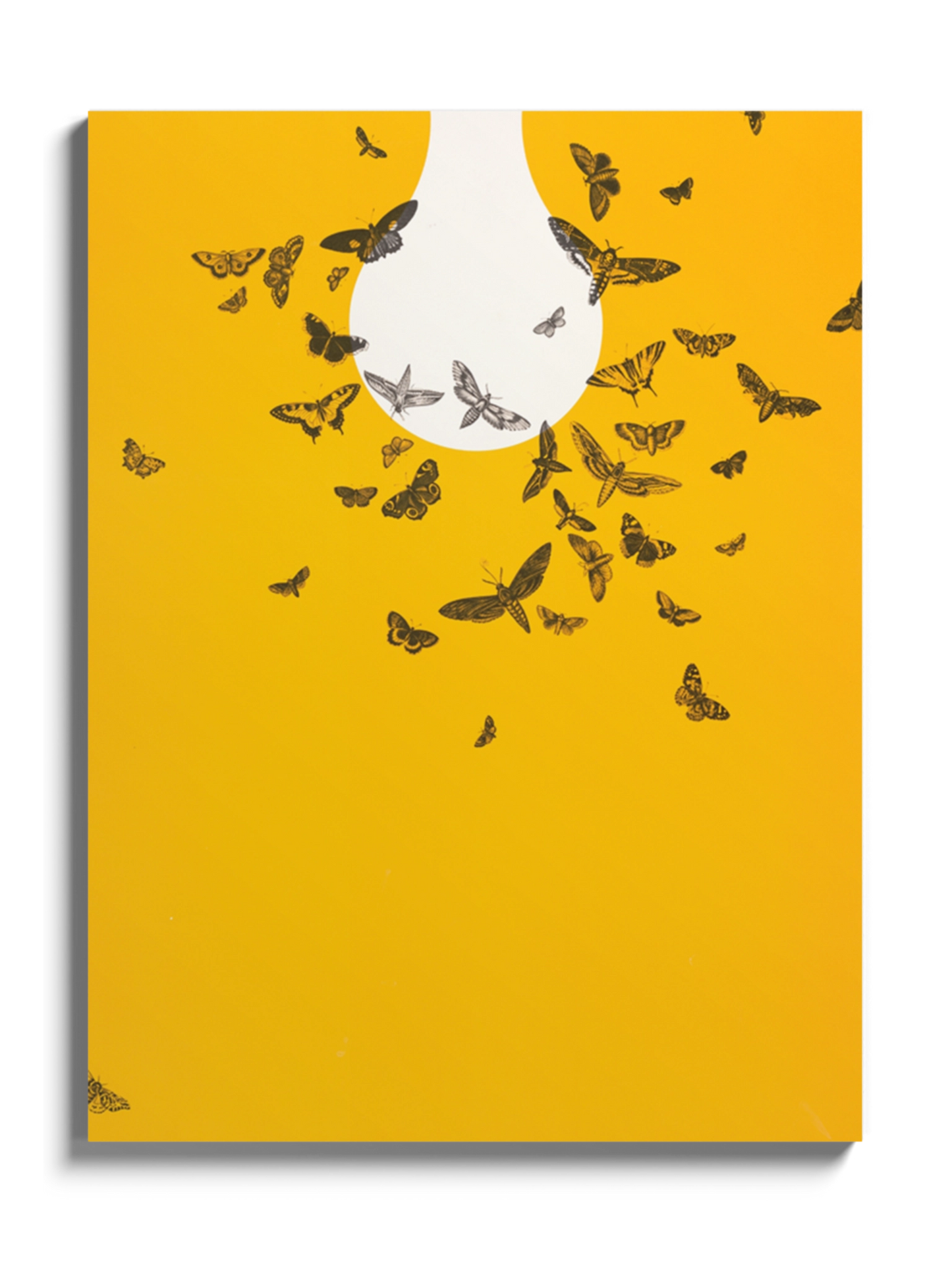 Постер "Метелики летять на світло"