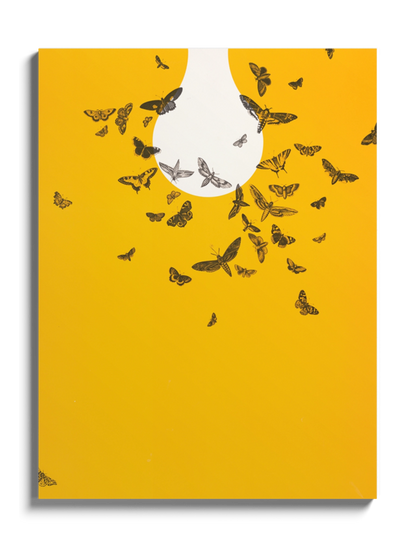 Постер "Метелики летять на світло"