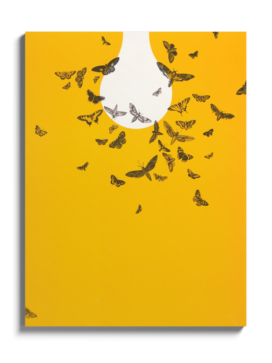 Постер "Метелики летять на світло"