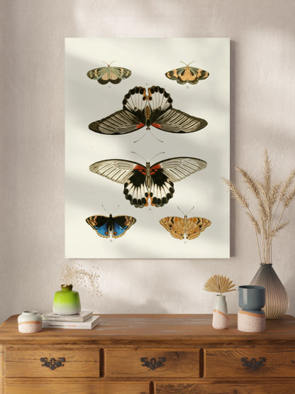 Постер "Метелики"