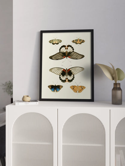 Постер "Метелики"