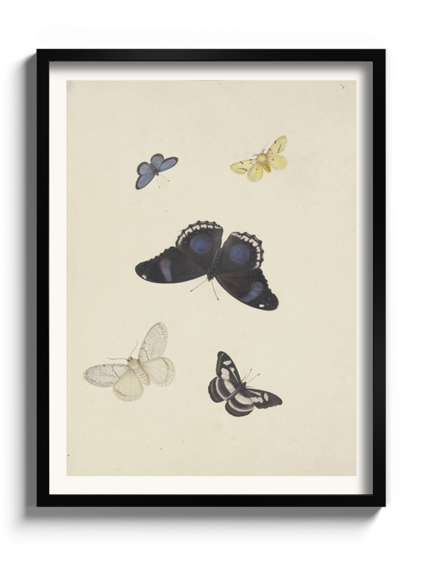 Картина "П'ять метеликів"