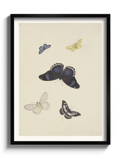 Картина "П'ять метеликів"